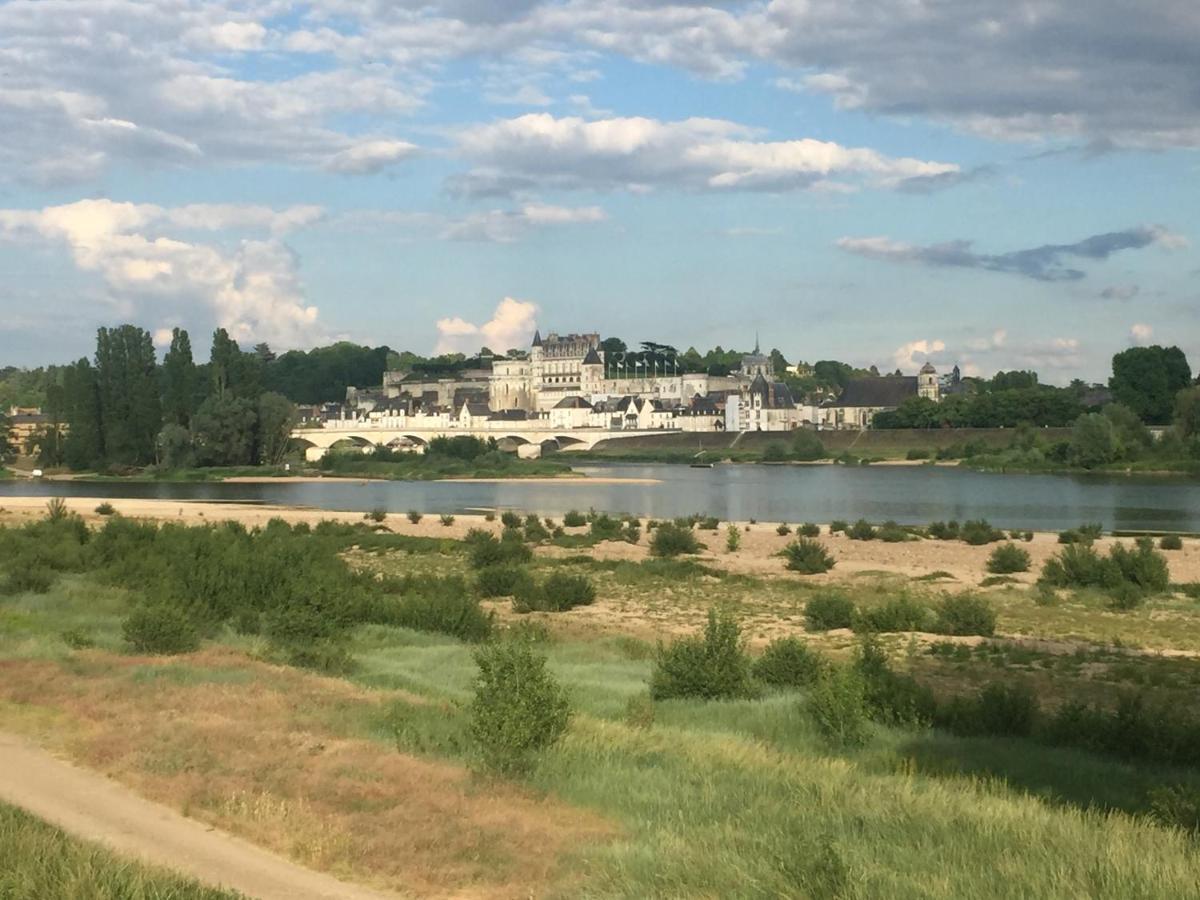 Gite Chais Catherine Villa Amboise Bagian luar foto